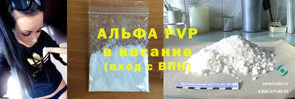шишки Володарск