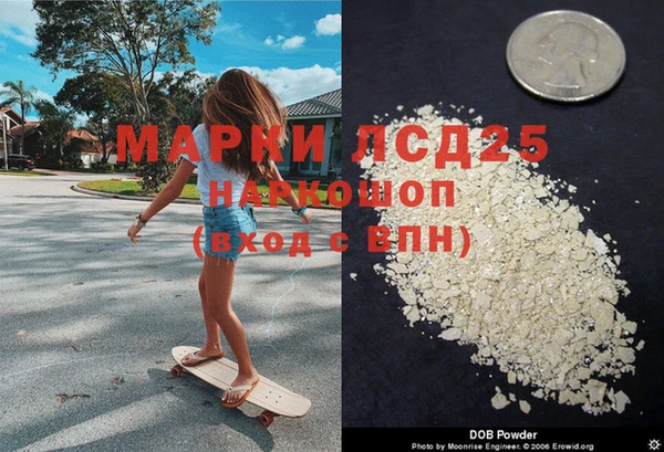 шишки Володарск