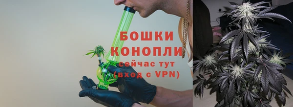 мдпв Волоколамск