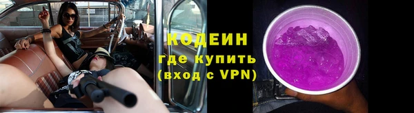 шишки Володарск
