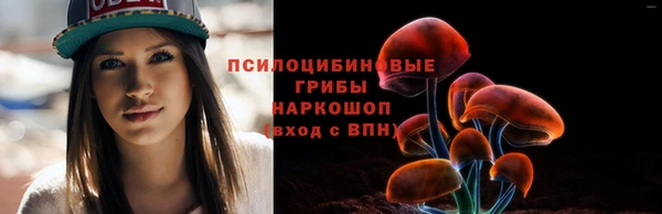 шишки Володарск