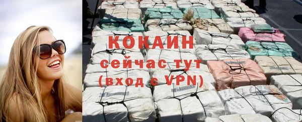 мдпв Волоколамск