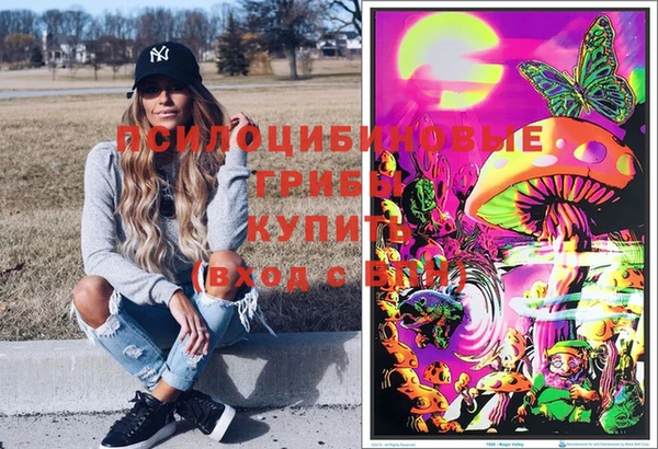 мдпв Волоколамск