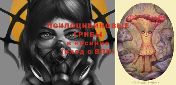 мдпв Волоколамск