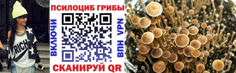 Галлюциногенные грибы MAGIC MUSHROOMS  mega ONION  Вольск 